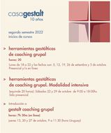 Imagen de Introducción a gestalt coaching grupal