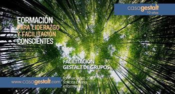 Imagen de Facilitación gestalt de grupos