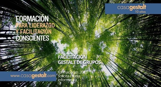 Imagen de Facilitación gestalt de grupos