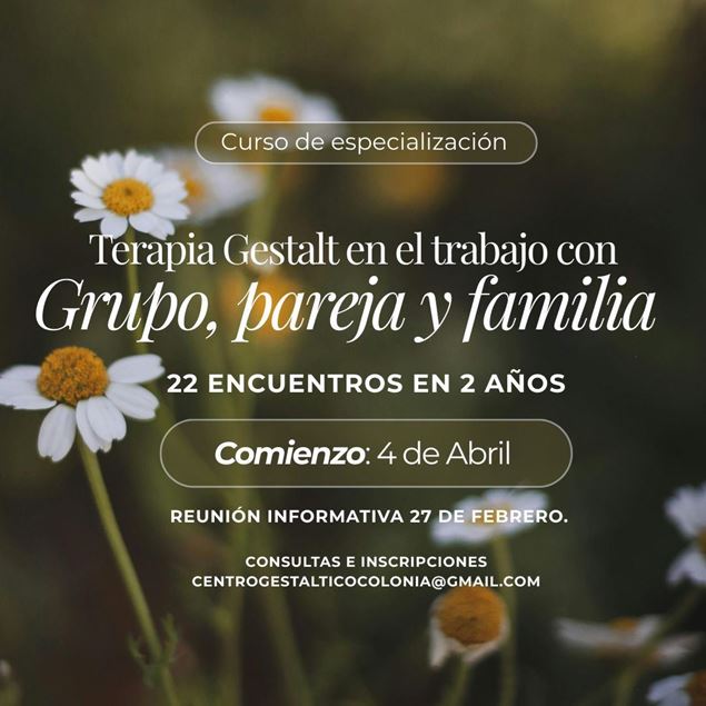 Imagen de CURSO DE TERAPIA GESTALT EN EL TRABAJO CON GRUPO, PAREJA Y FAMILIA COLONIA 2026