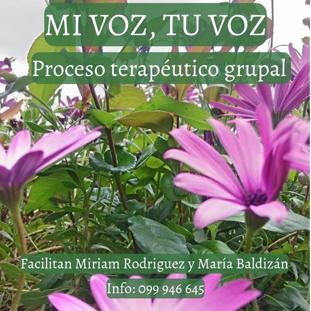 Imagen de Mi Voz, tu Voz . Proceso Terapéutico Grupal