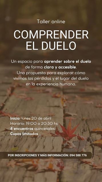Imagen de Comprender el duelo.