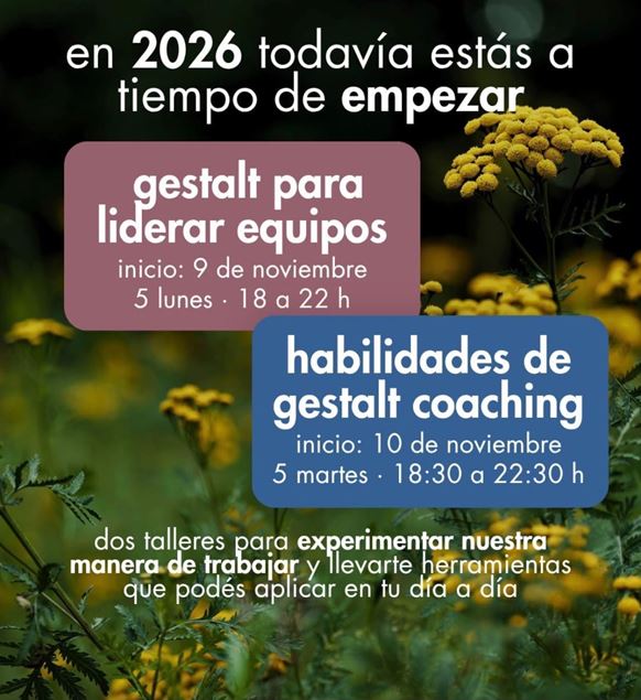 Imagen de Gestalt para liderar equipos  / Habilidades de Gestalt Coaching